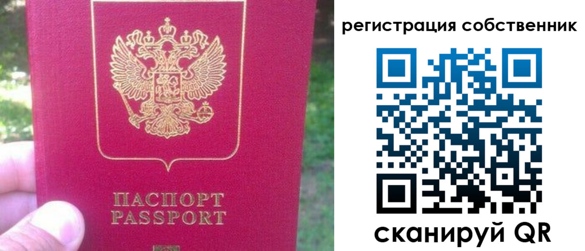 временная регистрация 2025 в Оленегорске